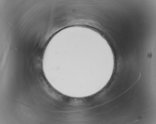 X0000112141505200909181345