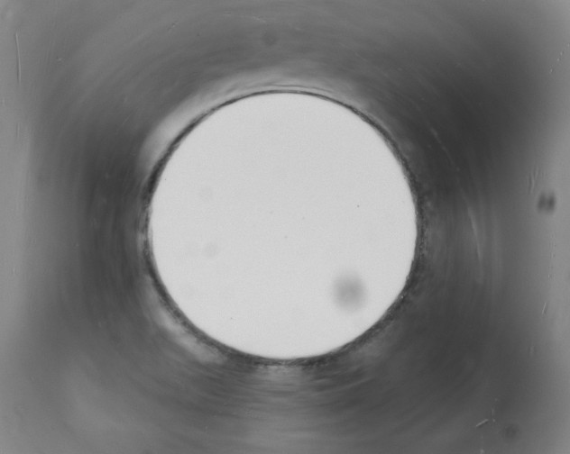 X0000112141511200909181346