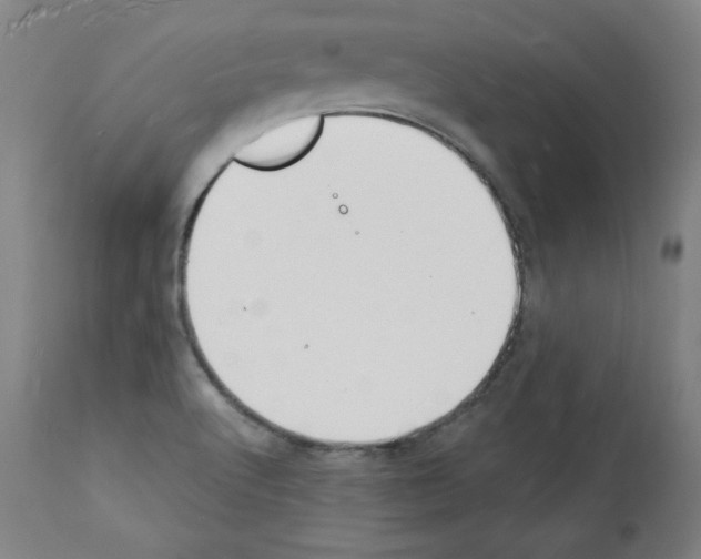 X0000112141512200909181346