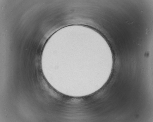 X0000112141513200909181346