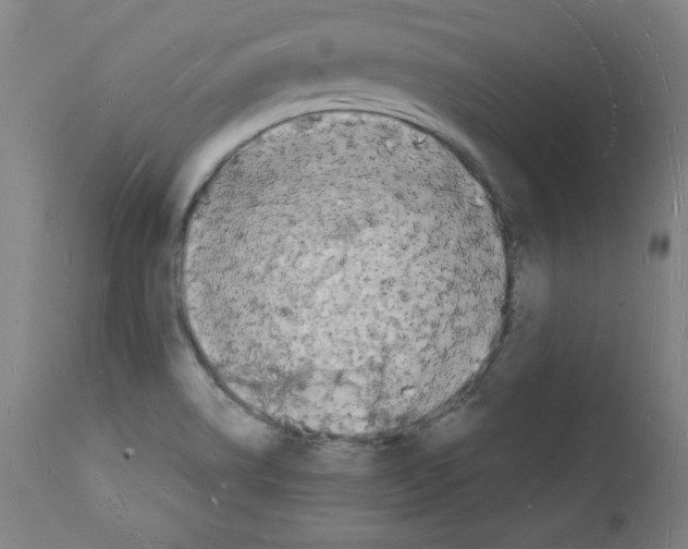 X0000112141514200909181346