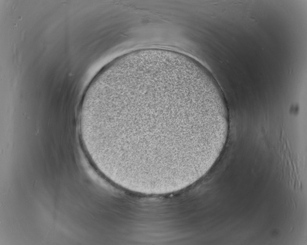 X0000112141515200909181346