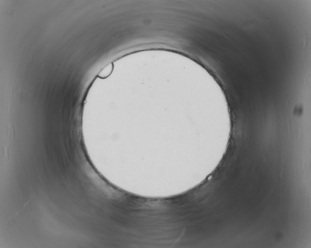 X0000112141516200909181346