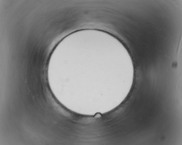 X0000112141517200909181346