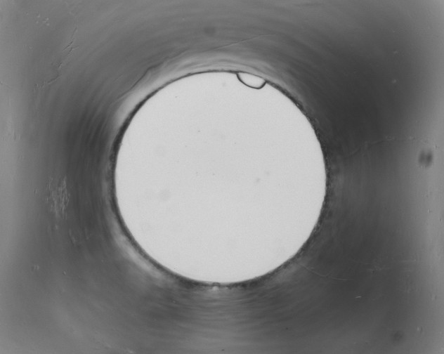 X0000112141518200909181346