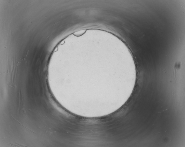 X0000112141519200909181346