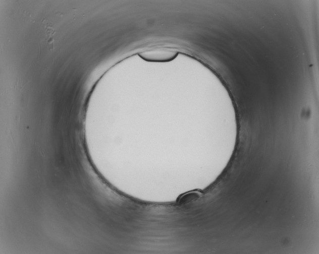 X0000112141520200909181346