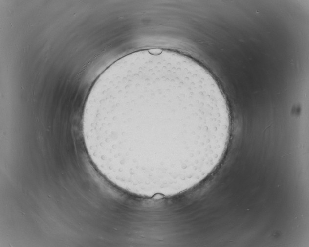 X0000112141521200909181346