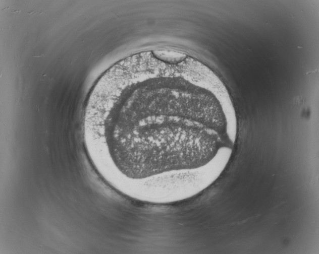 X0000112141522200909181346