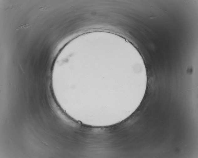 X0000112141523200909181346