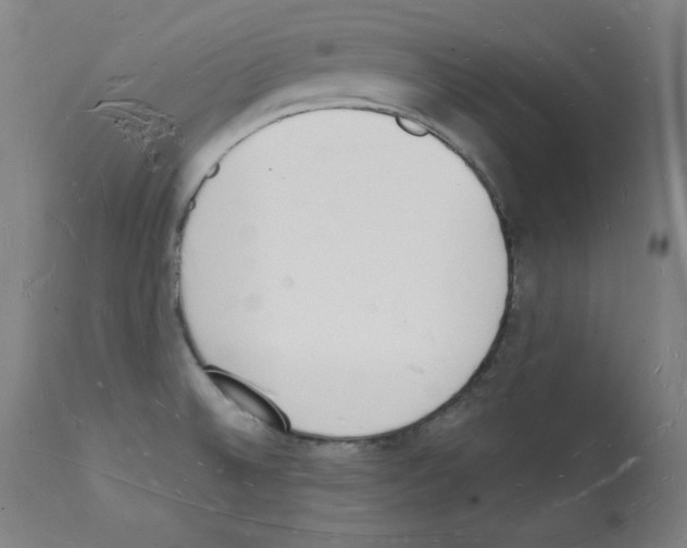 X0000112141524200909181346