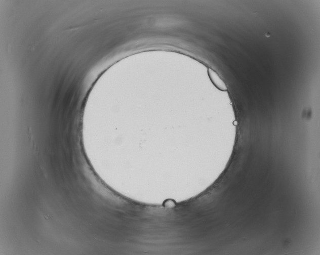 X0000112141526200909181346