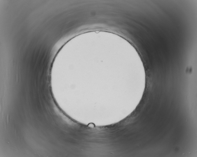 X0000112141527200909181346