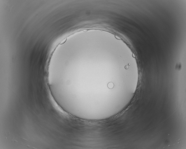 X0000112141528200909181346