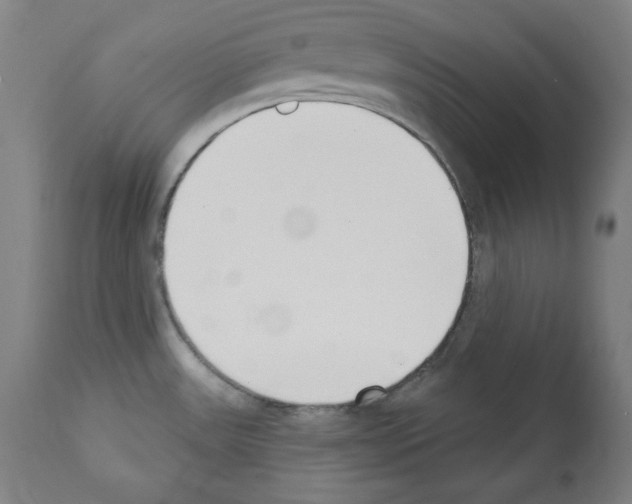 X0000112141531200909181346