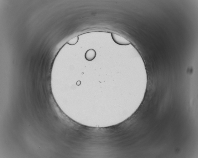 X0000112141534200909181346