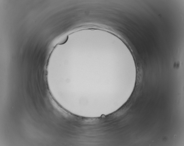 X0000112141535200909181346