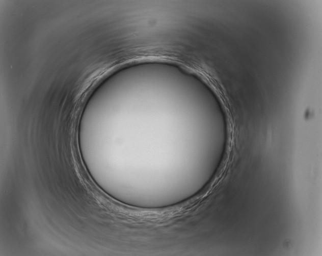 X0000112150001200908071014
