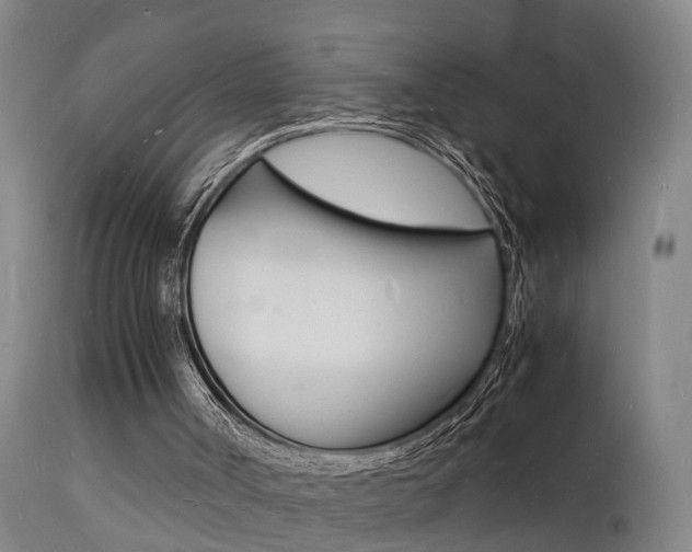 X0000112150002200908071014