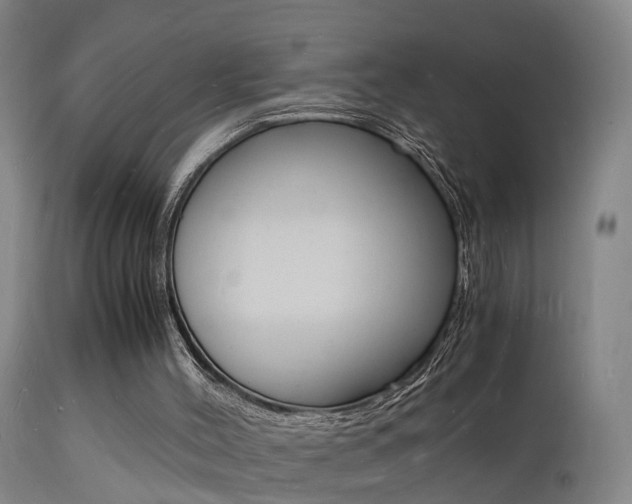 X0000112150004200908071014