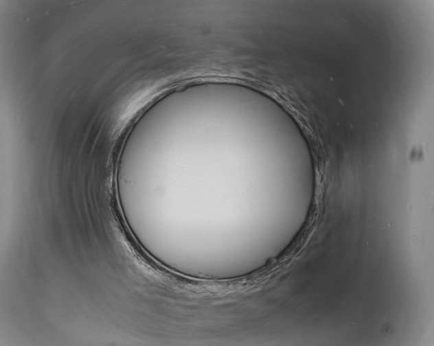 X0000112150005200908071014