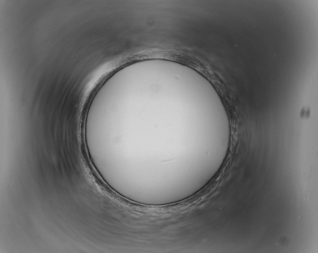 X0000112150006200908071014