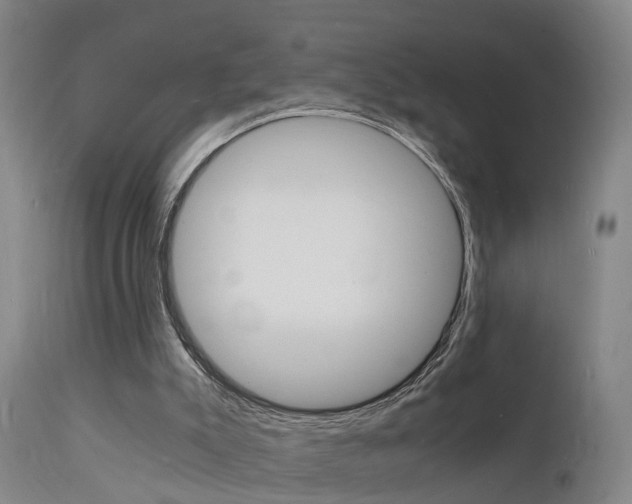 X0000112150007200908071014