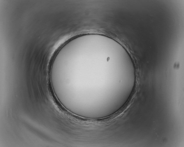 X0000112150008200908071014