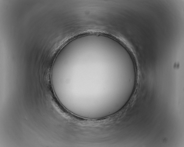 X0000112150009200908071014