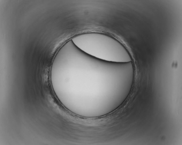 X0000112150010200908071014