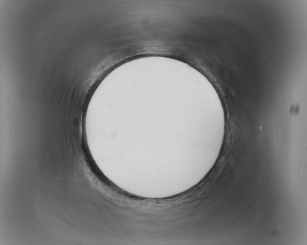 X0000112150011200908071014