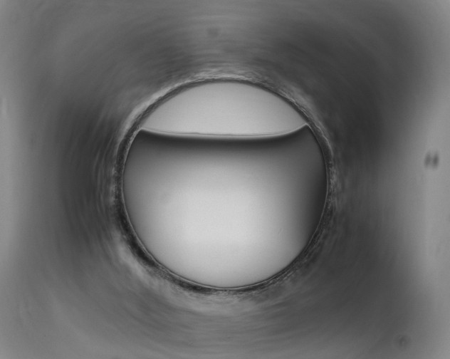 X0000112150012200908071014