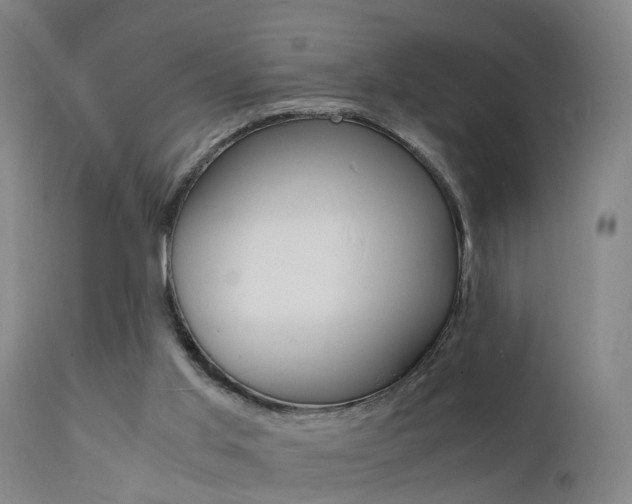 X0000112150013200908071014