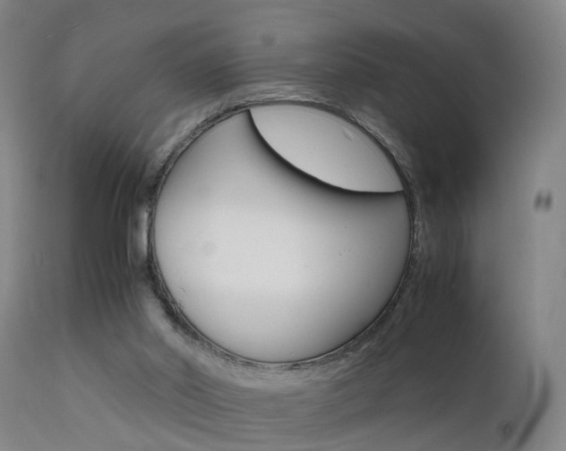 X0000112150014200908071014
