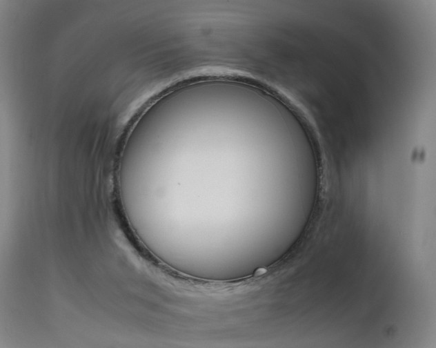 X0000112150015200908071014