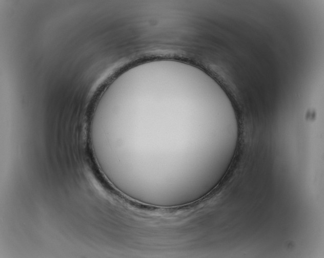 X0000112150016200908071014