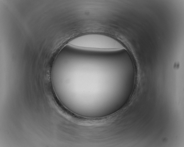 X0000112150017200908071014