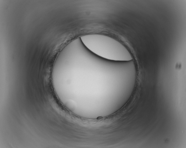 X0000112150018200908071014
