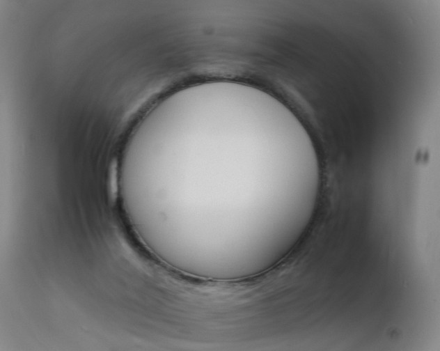 X0000112150020200908071014