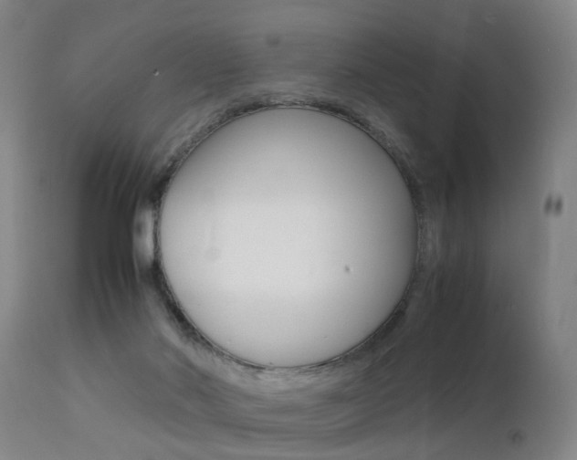 X0000112150022200908071014