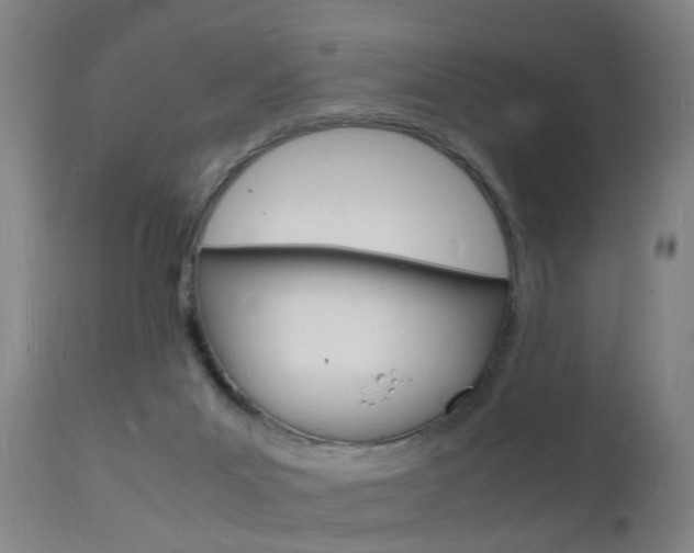 X0000112150023200908071014