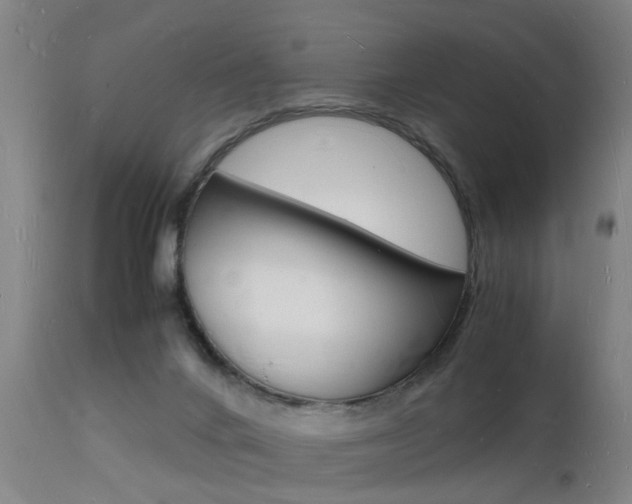 X0000112150024200908071014