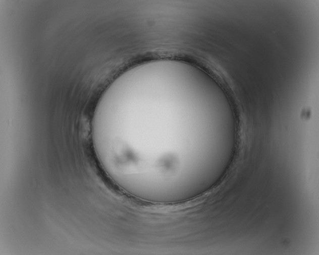 X0000112150025200908071014