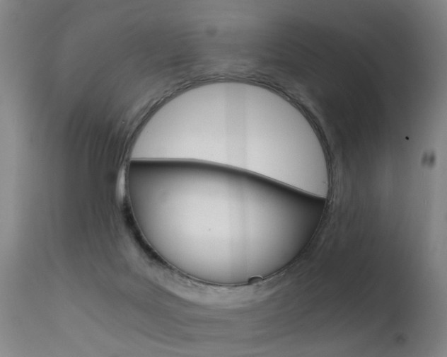 X0000112150027200908071014