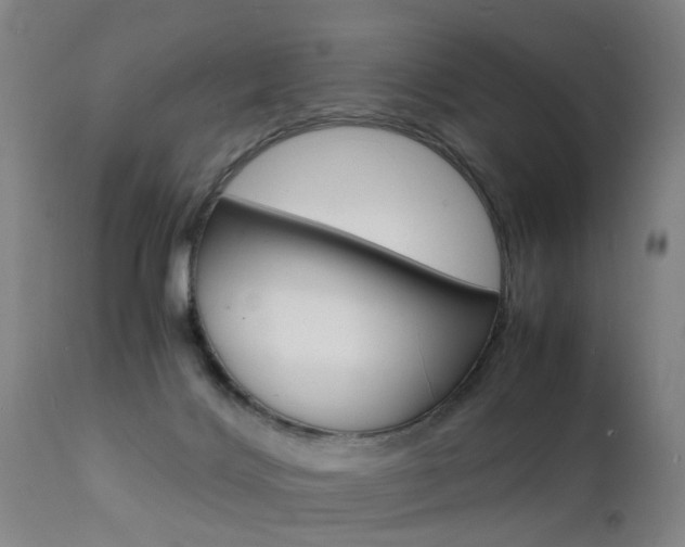 X0000112150028200908071014