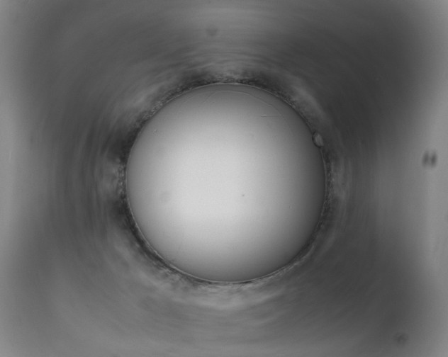 X0000112150029200908071014
