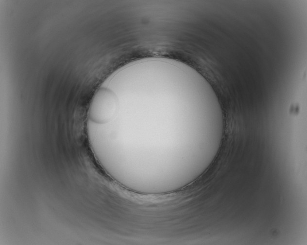 X0000112150030200908071014