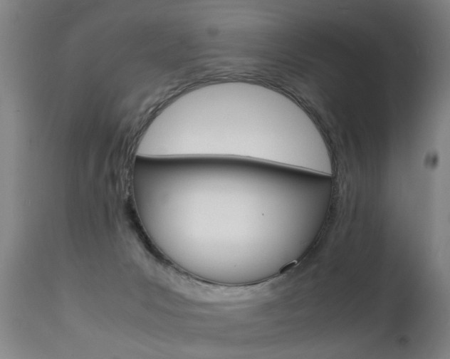 X0000112150031200908071014