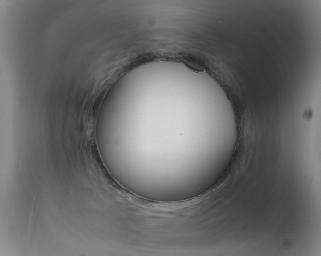 X0000112150033200908071013