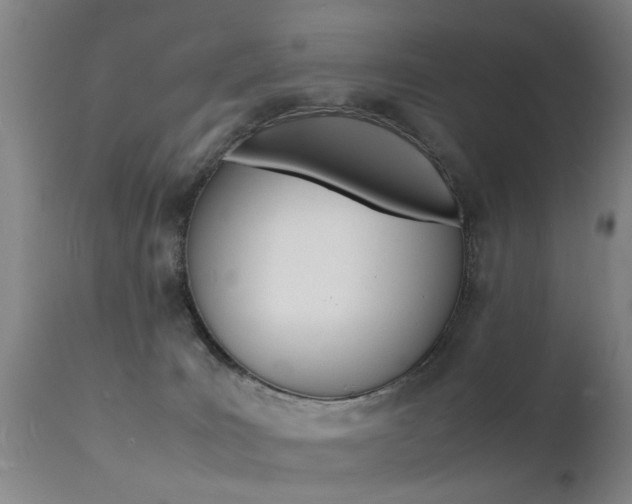 X0000112150035200908071013